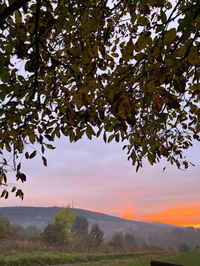 Willa Czarownica Nowa Slupia Dış mekan fotoğraf